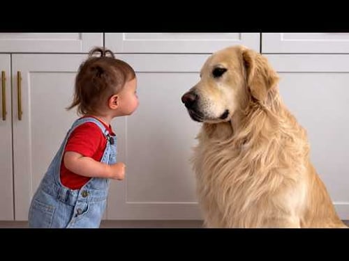 When Your Baby is Raised by a Talking Dog β¦ Cutest Moment Ever! π