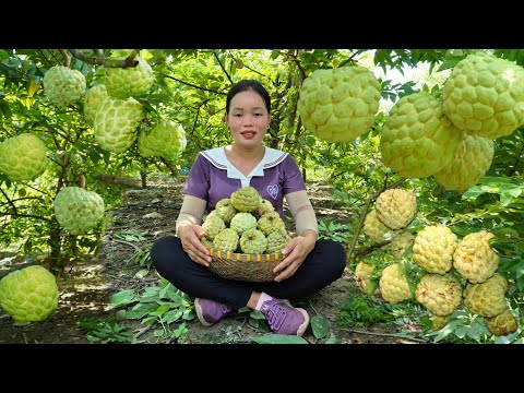 FULL VIDEO 150 Days: Harvesting Fish, Soursop, Making Cakes, Popcorn, Bringing to the Market to Sell