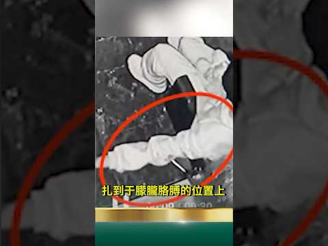 「啟皓」地下ren體庫!極光光家族的恐怖連結!