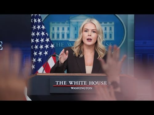 ICE arrests woman with disputed families ties to WH Press Secretary Karoline Leavitt