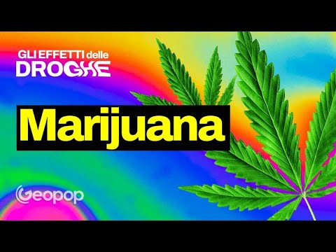 Polemica Cannabis e codice della strada: cosa succede quando fumiamo? Gli effetti della marijuana