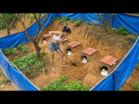 Building Nests for 1000 Egg Laying Ducks on the Slope Behind the House , Rural Life