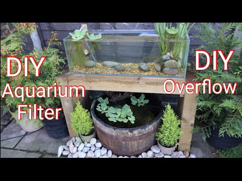DIY Outdoor Aquarium Setup | Whiskey Barrel, Bottle Filter and PVC Overflow