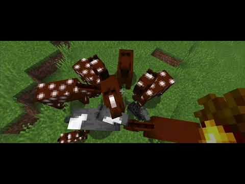 Testing Something With The Horses