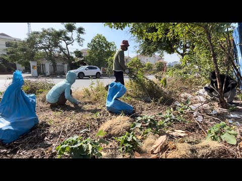 Cleaning Up Weedy, Trash-Filled Sidewalks in a Bustling Street Near Police Station & Supreme Court.