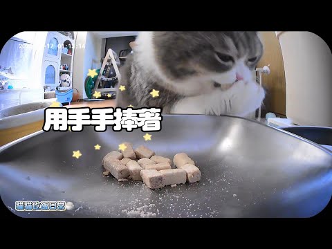 監控下的貓咪吃飯有驚喜 懂事毛孩故意把肉乾留給主人的吧!