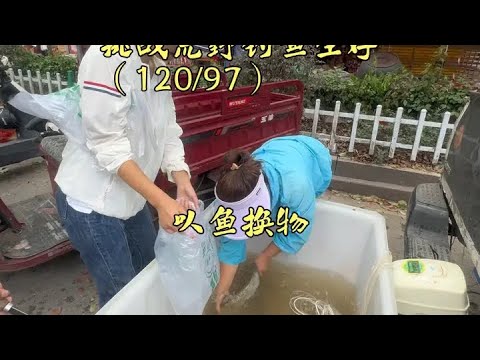 夫妻挑战荒野钓鱼生存120天, 第97天,以鱼换物,看看两位美女能换多少物资?#户外垂钓 #真实户外