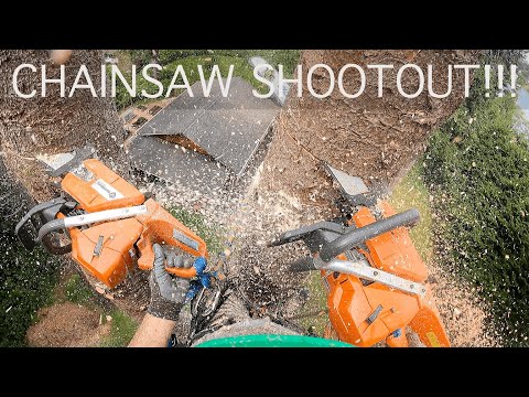 $1,000 372XP Husqvarna vs $300 G372XP Holzfforma Clone. Big Spruce Removal in Oregon!