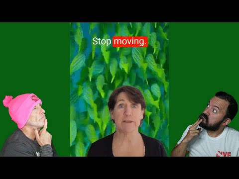 Divers React to Scuba Advice Shorts