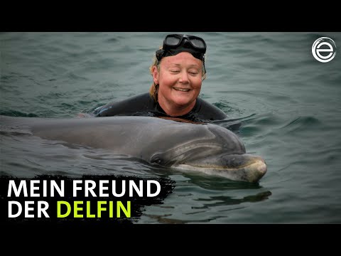 Die Delfinflüsterin ‒ Vor Irlands wilder Küste | Erlebnis Erde