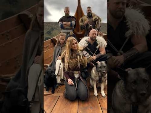 Norwegian Elkhound Dogs on the World’s largest Viking Ship #vikings #norwegianelkhound #norskelghund