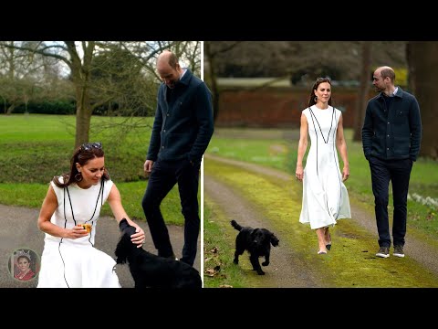 Catherine In Tears As 'Orla Dog' Steals the Spotlight in Prince William’s The Reluctant Traveler