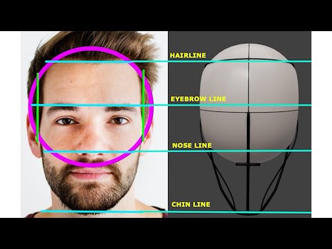 Understanding the Loomis Method — How the Head Proportions Work