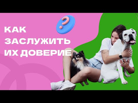 СОБАКА И ДОВЕРИЕ, как расположить к себе собаку? Контак между собакой и человеком