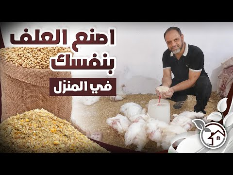 A distinctive feed mixture for all types of poultry, based on personal experience and amazing res...