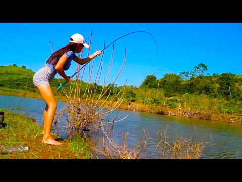 美女挑戰巨型海魚,80公斤的龍躉讓人熱血沸騰,差點就被拖下水了!【女钓友微微】