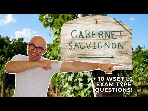 Cabernet Sauvignon: WSET Level 2 in Wines (+10 WSET exam type questions)