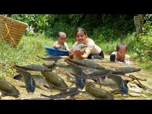 Journey on the sea with children - catching fish and giant fish traps on rainy days - cooking