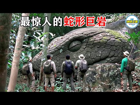 不敢相信!这些石头真的是蛇变的?6个最惊人的蛇形巨岩,令人瞠目结舌!丨地球之最#冷知识 #排名 #世界之最#地球之最top#世界之最top#top10#惊人发现
