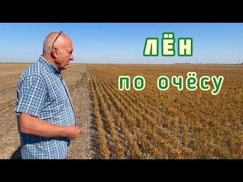 Лен - экономически просто, но...