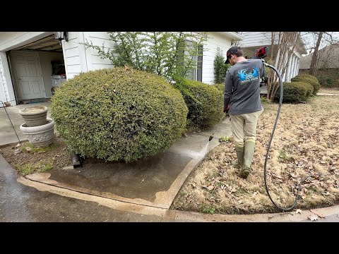 After BREAKING HER HIP, she deserved a SAFER driveway