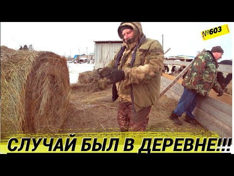 An accident and its consequences. Cleaning the chimney. Life in the village of Omsk Moskalenki.