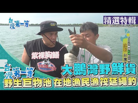 台灣第一等【大鵬灣釣奇魚 生態爆發專出野鮮貨(挖牡蠣/三棘魨/金目鱸/紫裸胸鱔)】 _精選特輯