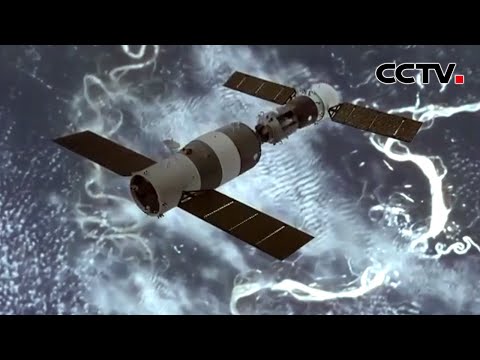 在太空种水稻有哪些绝招?围观水稻的太空生长全过程 | CCTV中文《天宫建造》 第5集