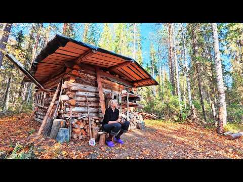 Alone in a log cabin in the deep woods | Found an abandoned hunter's cabin