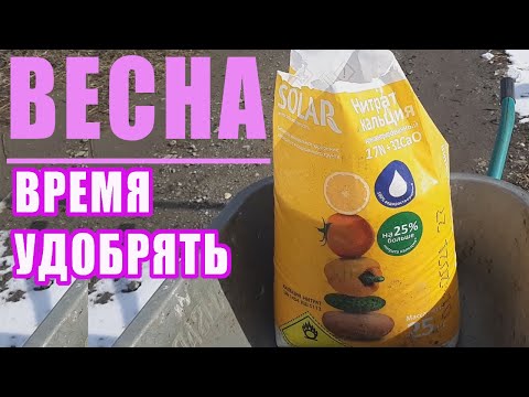 Чем удобрять малину и ежевику весной