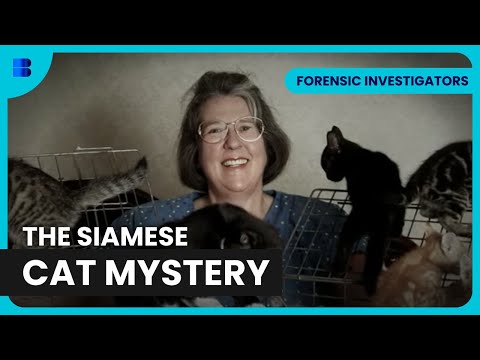 Shocking Clue Solves Vet Murder | Forensic Investigators | Banijay Science