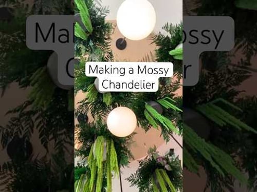 Making a Moss Chandelier #moss #mossart #artinstallation #greenery #interiordesign #interiorstyling