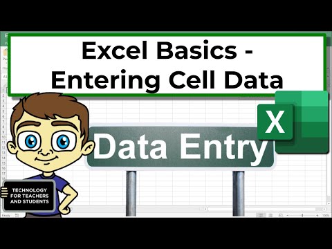 Excel Basics - Entering Cell Data