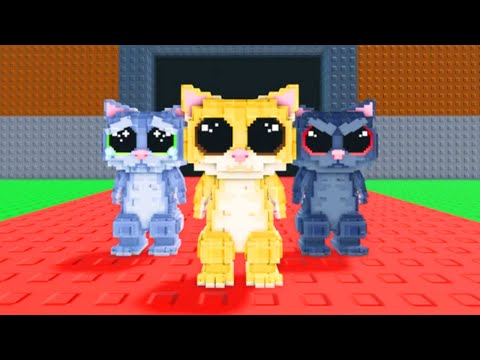 AY MI GATITO MIAU MIAU