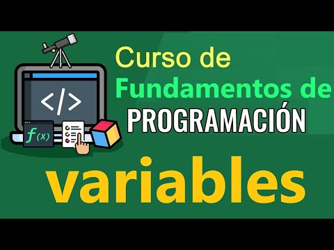 Programming Fundamentals - Variables and Constants - (video 11)