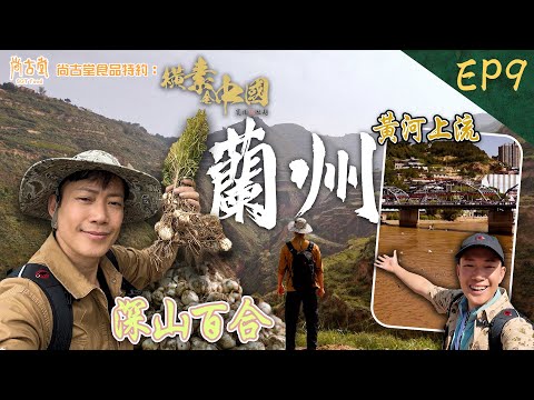 橫素全中國|中國唯一食用甜百合 走入蘭州深山欣賞種植美景 |尚古堂食品 特約:橫素全中國 | EP9| 敖嘉年 | HOY TV