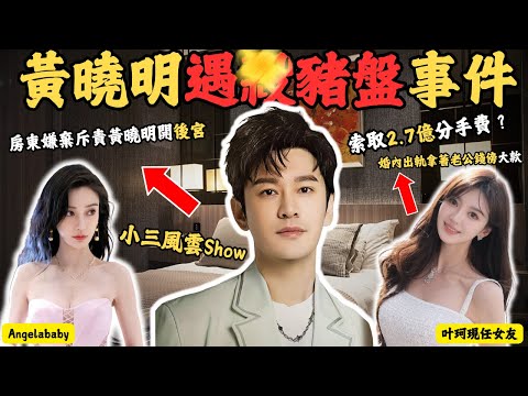 葉珂懷孕索2.7億天價掟煲費,過往經歷遭深扒宣佈退網,批評伍佰歌曲“很猥瑣!房東嫌棄拉低公寓檔次,斥責黃曉明開後宮。 @Zfivesir #黃曉明#Angelababy#叶珂