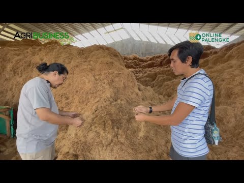 BUNDOK-BUNDOK na COCO COIR at COCO PEAT, NEED ng BUYER!
