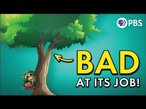 Photosynthesis Has a Fatal Flaw (and We Can Fix It)