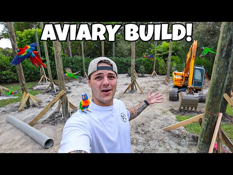 Building $100,000 AVIARY in My Backyard for BIRDS!!