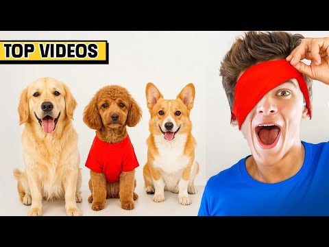 I Guessed a Dog With No Eyes | Brent Rivera