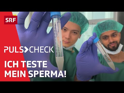 Spermiogramm: Wie funktioniert ein Fruchtbarkeitstest? | Puls Check | SRF Wissen