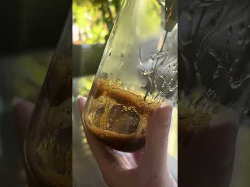 honey brown sugar latte โ๏ธ๐ง easy iced coffee without an espresso #coffee #honeylatte #coffeeathome