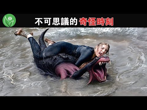 如果這些令人毛骨悚然的時刻沒有被拍下來,根本沒人會相信! 【探索旅行號】#奇怪的時刻#神秘水怪目擊#河流神秘黑影