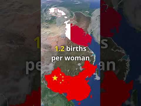 Which COUNTRIES Have The Lowest BIRTH RATES?