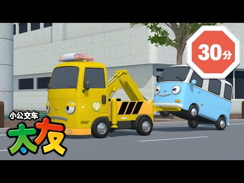 可爱的汽车Bongbong和Toto的故事 l Tayo 第3季 流行的一集 l 小巴士TAYO l 小公交車太友士TAYO