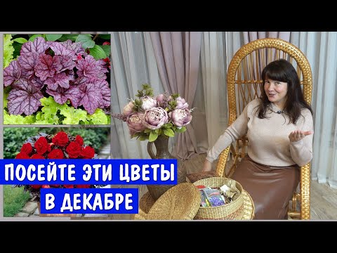 Эти ЦВЕТЫ надо посеять уже в ДЕКАБРЕ! Иначе будет 100% поздно.