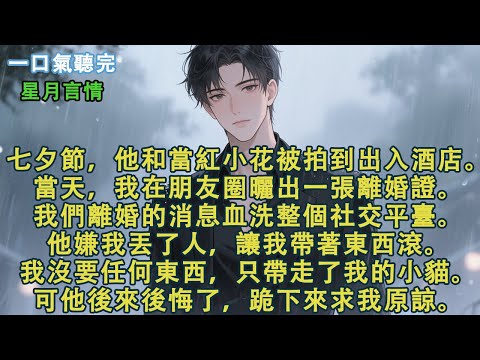 七夕節,他和當紅小花被拍到出入酒店。當天,我在朋友圈曬出一張離婚證。我們離婚的消息血洗整個社交平臺。他讓我帶著東西滾。我沒要任何東西,只帶走了我的小貓。可他後來後悔了,跪下來求我原諒#小說 #有聲書