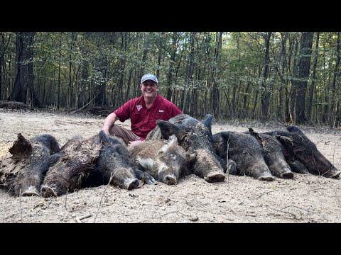 Double Drop Wild Hog Catch & Big Boar thermal hunts.