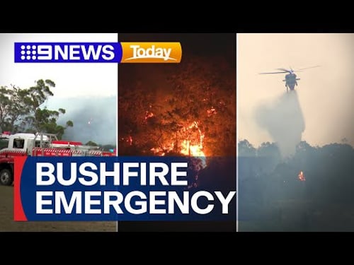 Multiple fires still burning as dozens of homes destroyed in NSW | 9 News Australia